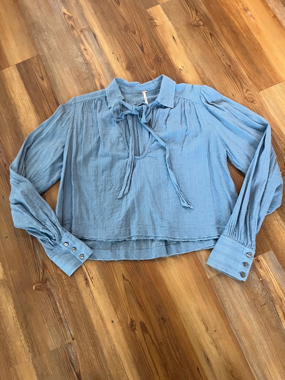 Free People Sky Blue Tie-Neck Peasant Blouse